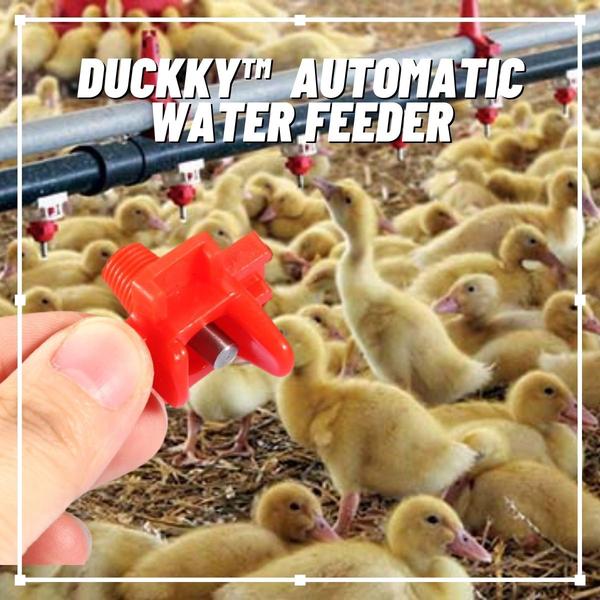 Alimentador automático de agua