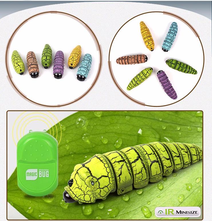 Insecto mágico - Image 2