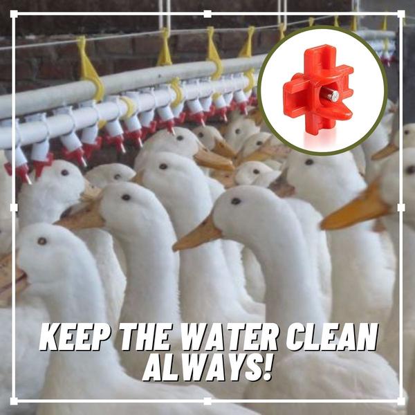 Alimentador automático de agua - Image 2