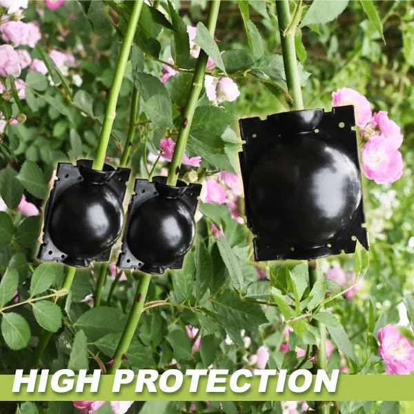 Cajas de plantas de acodo de aire 3PCS - Image 3