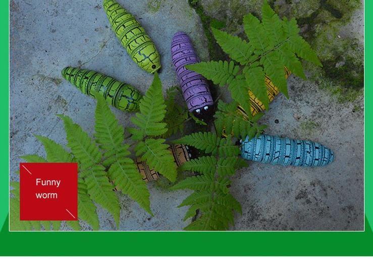 Insecto mágico - Image 5