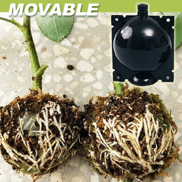 Cajas de plantas de acodo de aire 3PCS - Image 5