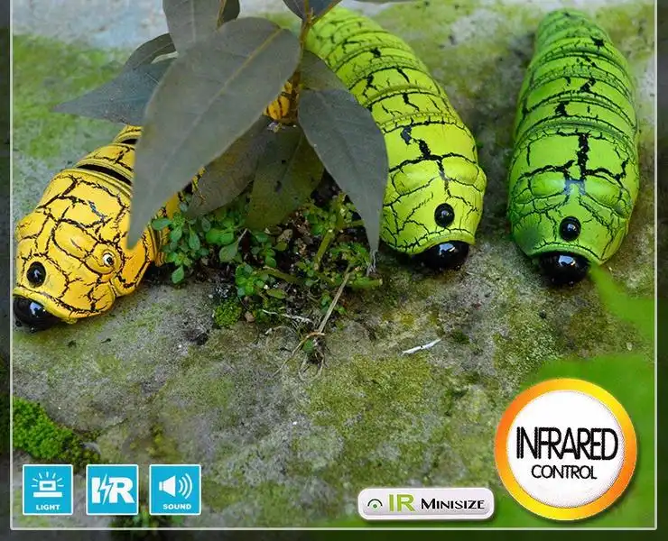 Insecto mágico - Image 6