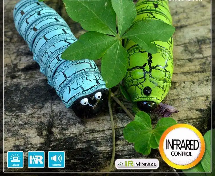 Insecto mágico - Image 7