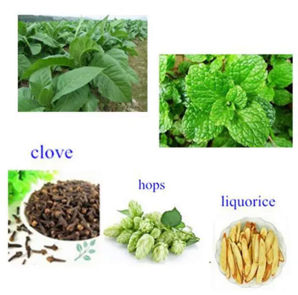 Parche antihumo Seurico™ - Image 3